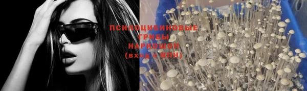 шишки Балабаново