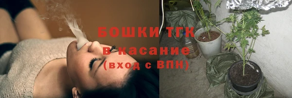 шишки Балабаново