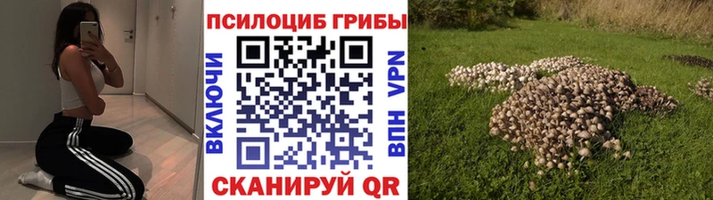 сколько стоит  Городовиковск  blacksprut как зайти  Галлюциногенные грибы Magic Shrooms 